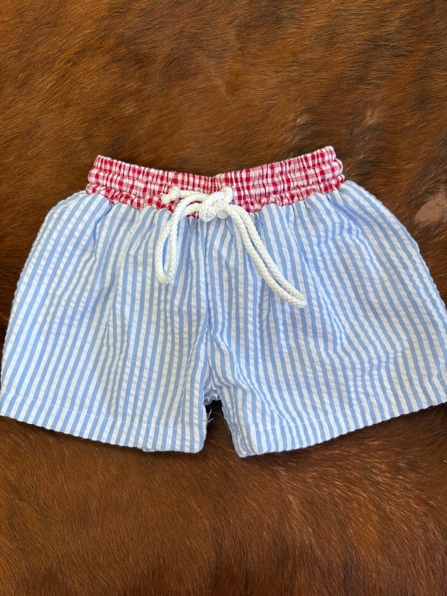 Red White & Blue Boy Bathing Suit Shorts