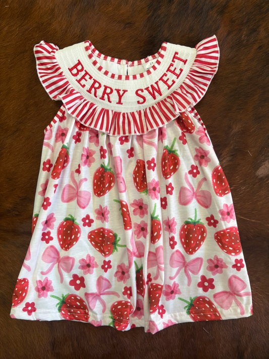 Berry sweet smocked embroidered dress