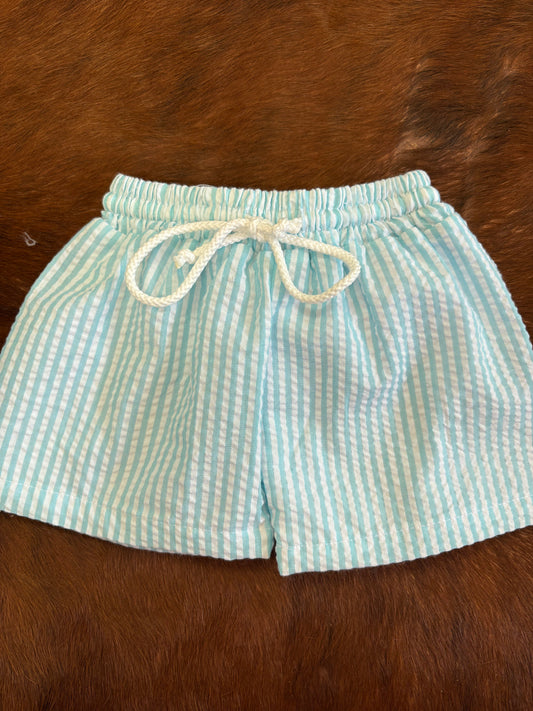 Teal Boy Bathing Suits